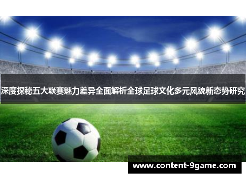 深度探秘五大联赛魅力差异全面解析全球足球文化多元风貌新态势研究