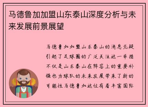 马德鲁加加盟山东泰山深度分析与未来发展前景展望
